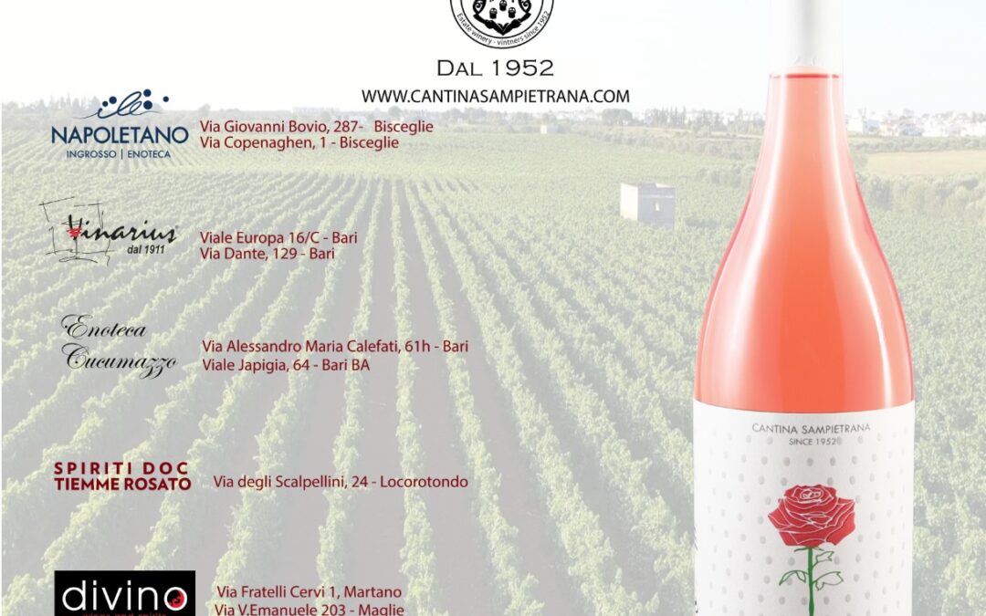 Primitivo Rosé – Lasciati Avvolgere …. Primitivo Salento IGP Rosato – Sampietrana