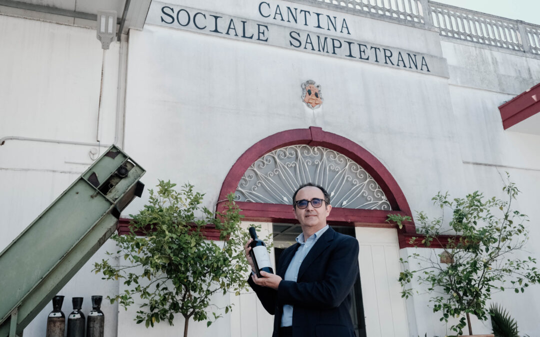 I vini della Cantina Sampietrana si affermano sui mercati internazionali, a conferma del buon momento per il prodotto pugliese